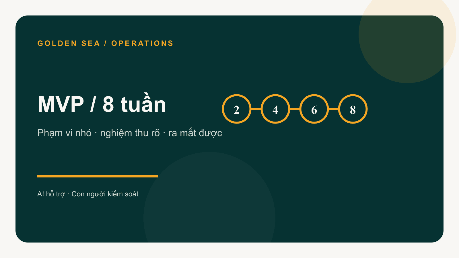 MVP trong 8 tuần: phạm vi, lịch triển khai và tiêu chí nghiệm thu
