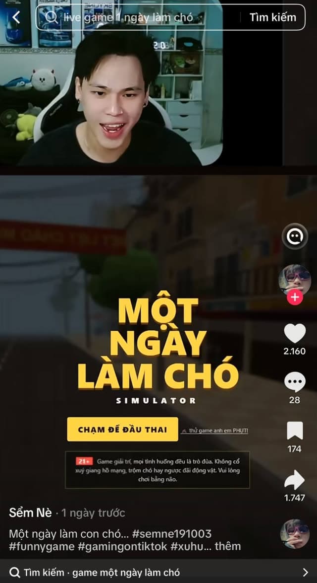 Streamer Sểm Nè playing Một Ngày Làm Chó on TikTok